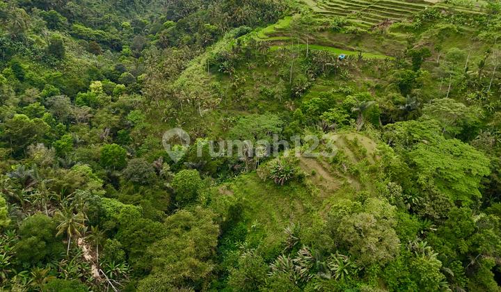 For Sale Premium Land at Sungai Ayung River, Ubud