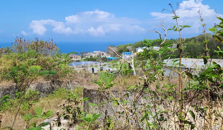 Tanah view laundi Belimbingsari Pecatu Tanah view laundi Belimbingsari Pecatu