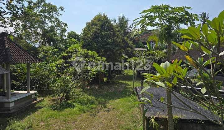 Land for sale in Kemenuh Ubud