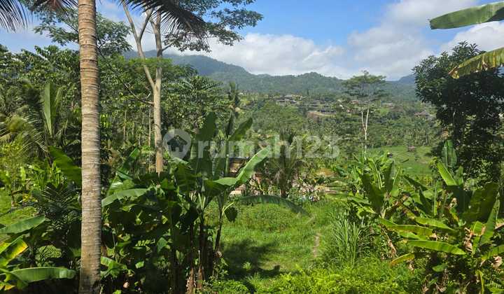 Di Jual Tanah Premium Plot Kecil di Sidemen 