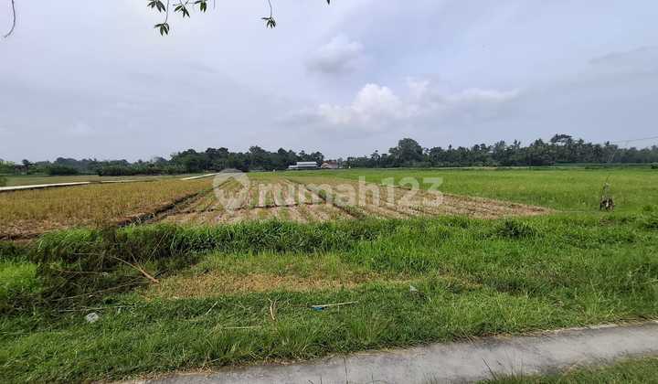 For Sale Land Near Beraban Beach Tabanan