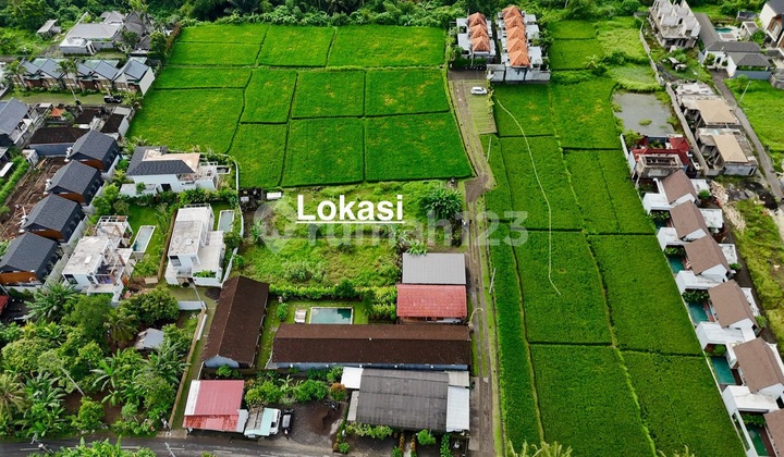 Premium Small Land For Sale In Ubud