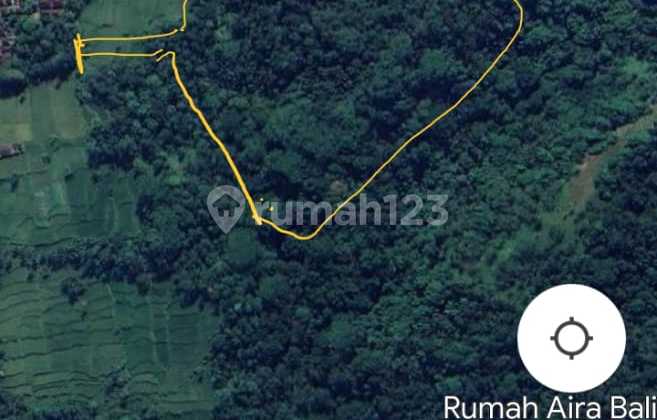 Di sewakan Tanah los sungai Petanu Tegalalang Ubud Di sewakan Tanah los sungai Petanu Tegalalang Ubud