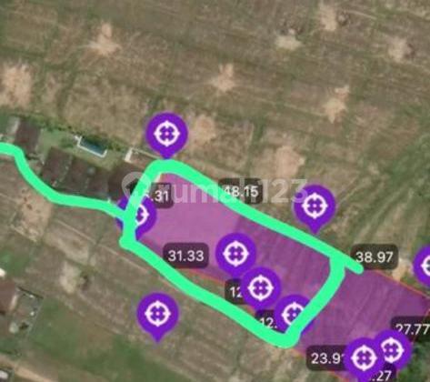 Premium Land for Rent at Seseh Beach