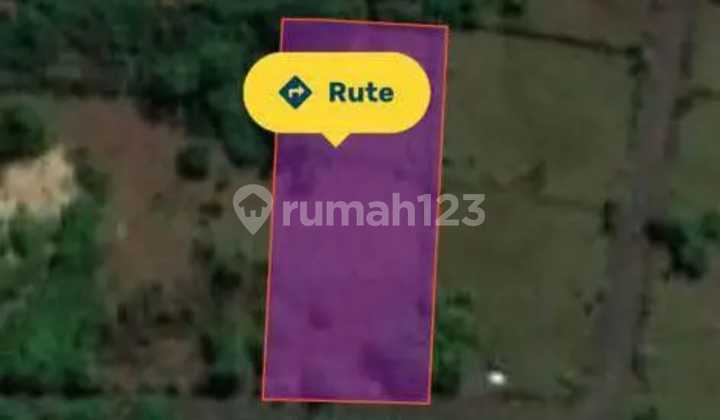 TANAH DIJUAL DEKAT PANTAI MELASTI DI UNGASAN ZONA PINK TANAH DIJUAL DEKAT PANTAI MELASTI DI UNGASAN ZONA PINK