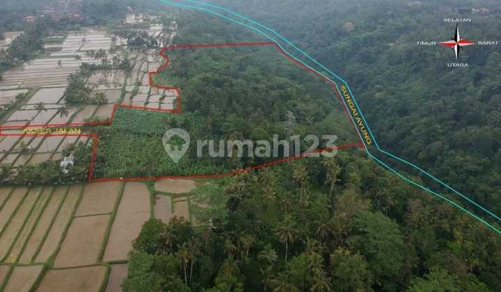 For sale Premium Land along the Ayung River, Ubud