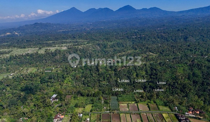 For Sale: Vie Forest Land, Rice Fields and Mountain in Payangan Ubud