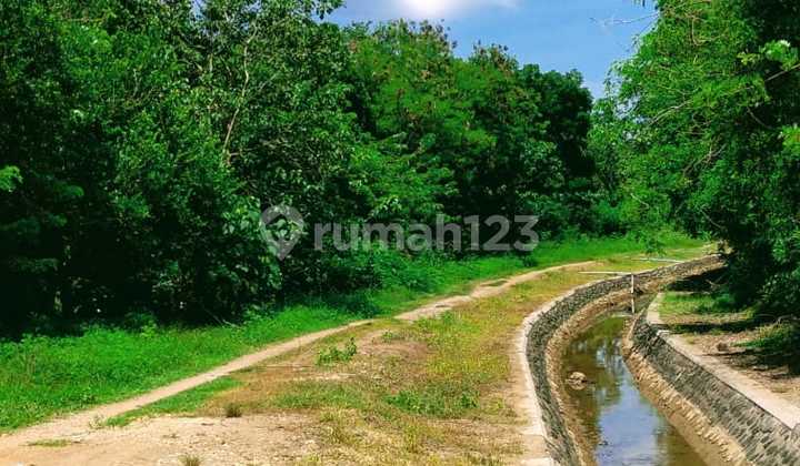 Dijual tanah strategis di central Bajo,Komodo Dijual tanah strategis di central Bajo,Komodo