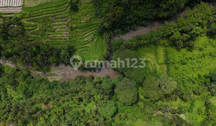 FOR SALE FAST LAND PREMIUM LOCATION YELLOW ZONE HOUSING AREA