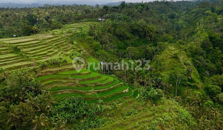 For Sale Land With Beautiful View in Payang Ubud