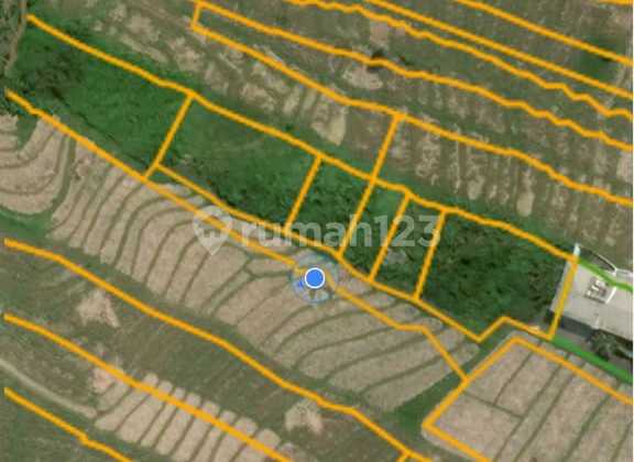 Dijual tanah plot kecil di Cemagi Dijual tanah plot kecil di Cemagi