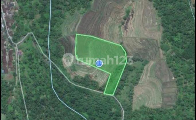 Tanah View Gunung & Laut di Penebel Tanah View Gunung & Laut di Penebel