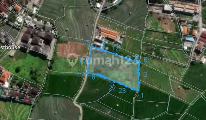 Murah Tanah View Sawah di Jl. Pantai Berawa