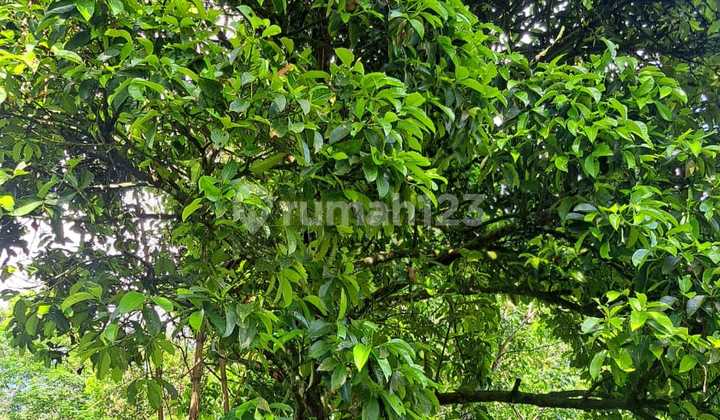Vacant Land Jl Ujung Pandang 2 Kubu Raya
