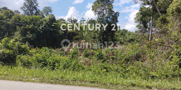 Tanah Tepi Jl Rantau Perapat Sanggau Kapuas Kalimantan Barat