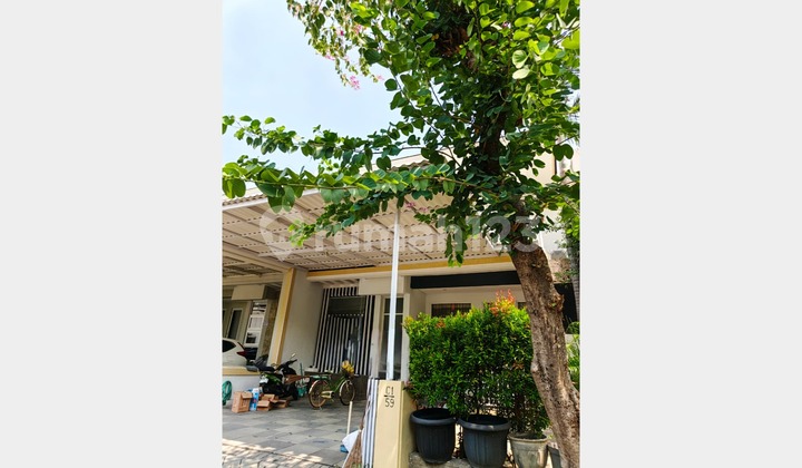 Dijual Rumah 2 Lantai Bagus Murah Semi Furnish Di Royal Residence Surabaya Cluster Addington Royal Residence Wiyung Surabaya Barat Dekat Citraland Wisata Bukit Mas