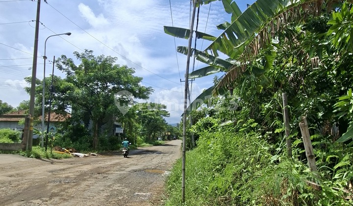 Land for Sale Beside Sumber Agung Ring Road, Weleri - Sukorejo