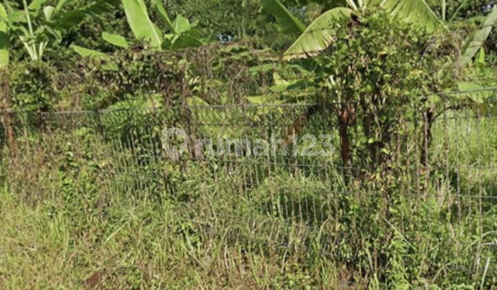 Land for Sale Beside Main Road in Salatiga