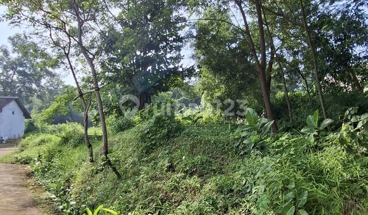 Land for Sale in Penyangkringan Weleri