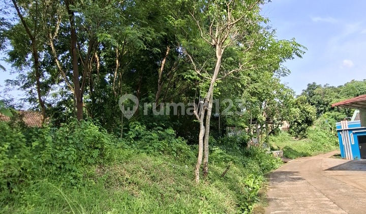 Land for Sale in Penyangkringan Weleri