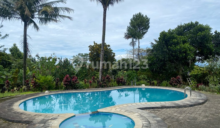 Villa 1 Lantai Di Puncak Ala Jawa