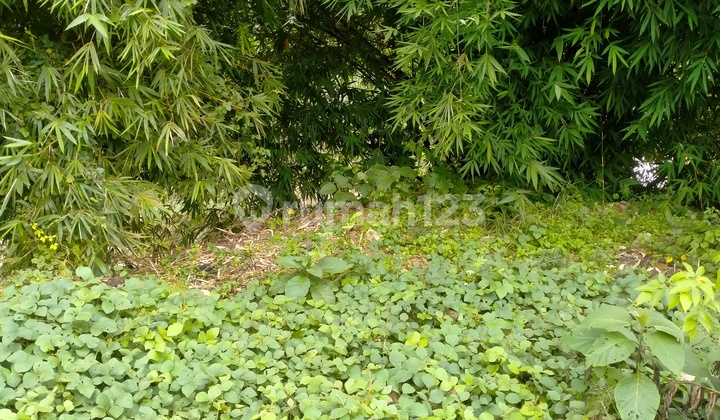 Tanah murah bawah NJOP Pedurungan Semarang timur 1