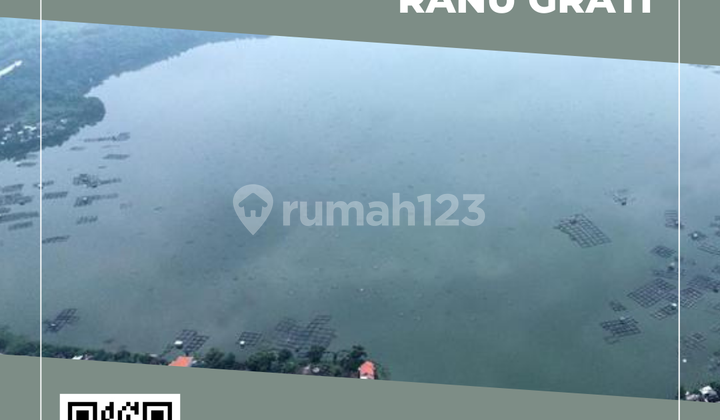 Hunian Daisy 53/66 – Blok D1/01, Rumah Strategis Promo DP 0 Rupiah 2