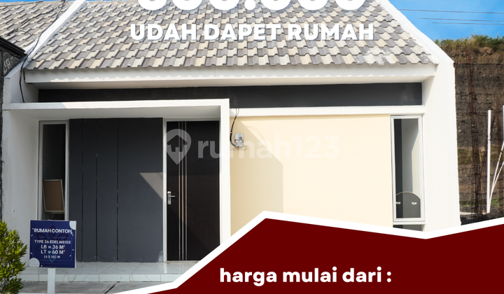 Rumah Murah Butuh Uang Tipe Edelweiss Blok B3 di Rejoso Pasuruan Rumah Murah Butuh Uang Tipe Edelweiss Blok B3 di Rejoso Pasuruan