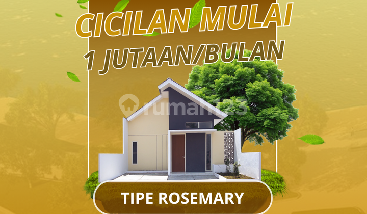 Rosemarry type massive promotion – 0% down payment