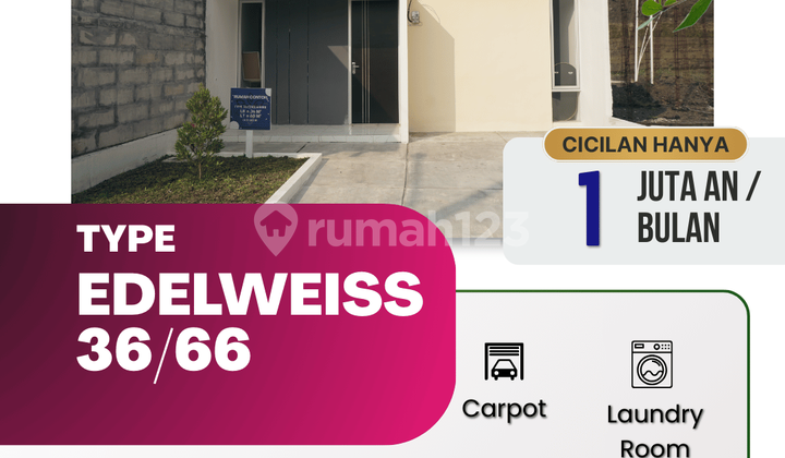 Rumah Type 36/60 Edelweiss Blok A18 Grati–View Danau Ranu Grati Rumah Type 36/60 Edelweiss Blok A18 Grati–View Danau Ranu Grati