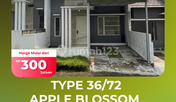 Type Apple Blossom 36/72 Block B1-20, Affordable Price Type Apple Blossom 36/72 Block B1-20, Affordable Price