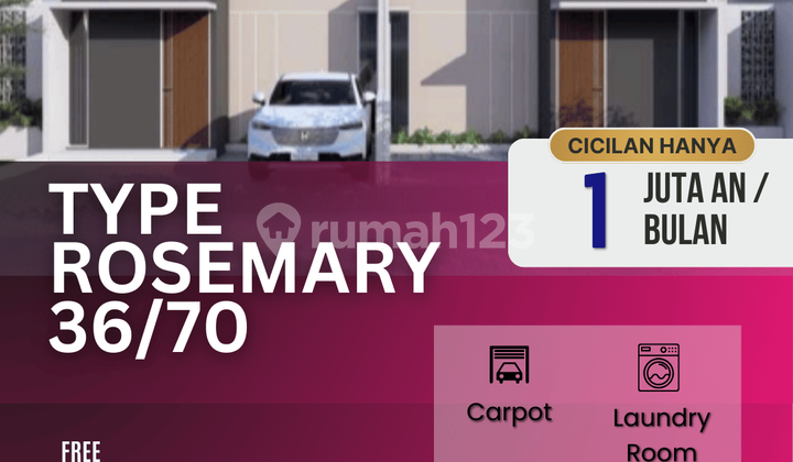 Rumah Type 36/70 Rosemary Blok B23 Grati – 3 Menit Ke Akses Tol Rumah Type 36/70 Rosemary Blok B23 Grati – 3 Menit Ke Akses Tol