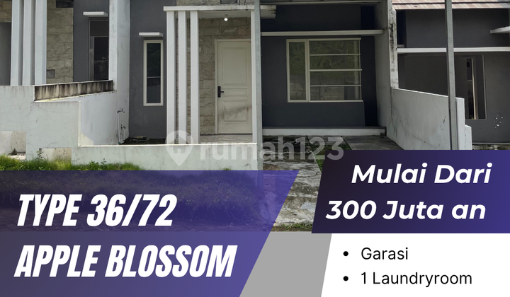 Rumah Type Apple Blossom 36/72 Blok B1-11, Harga Promo Terbatas Rumah Type Apple Blossom 36/72 Blok B1-11, Harga Promo Terbatas