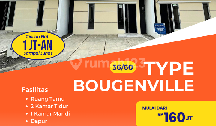 Rumah Murah di Pasuruan Bougenville 36/60 Blok D1 No.17  1