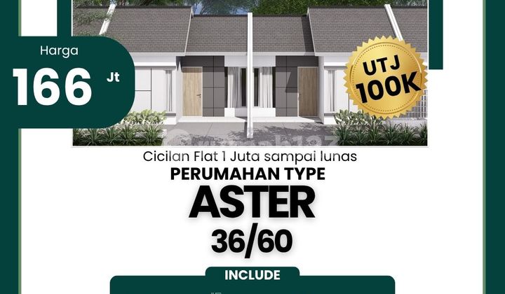 Rumah Murah Type Aster, Tanpa DP Besar! Rumah Murah Type Aster, Tanpa DP Besar!