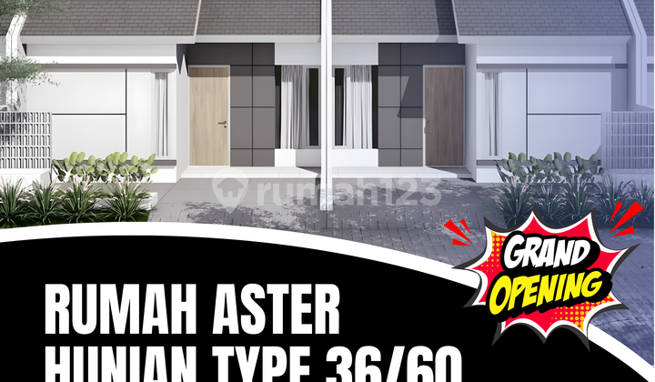 Rumah Aster 36/60 di Grati, Cicilan 1 Jt/Bulan, Tanpa Uang Muka