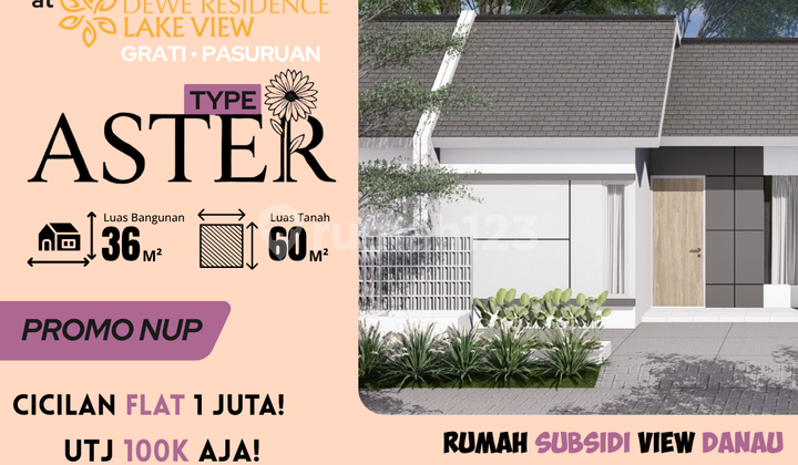 Hunian Aster Strategis di Grati, UTJ Mulai 100 Ribuan Hunian Aster Strategis di Grati, UTJ Mulai 100 Ribuan