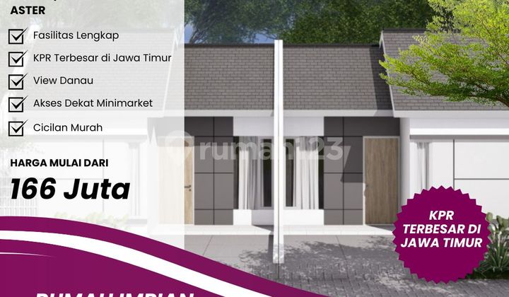Aster Type: Cool House, 1 Million Installment, Still Pasuruan Aster Type: Cool House, 1 Million Installment, Still Pasuruan
