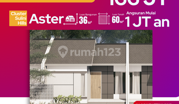 Rumah Murah Grati Pasuruan, Dekat Tol Probolinggo Rumah Murah Grati Pasuruan, Dekat Tol Probolinggo