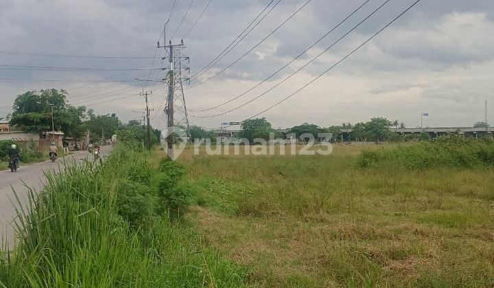 Dijual Lahan 5,2 Hektar di Babelan, Muara Bakti ( Rp 1.5 juta/m2 - nego )