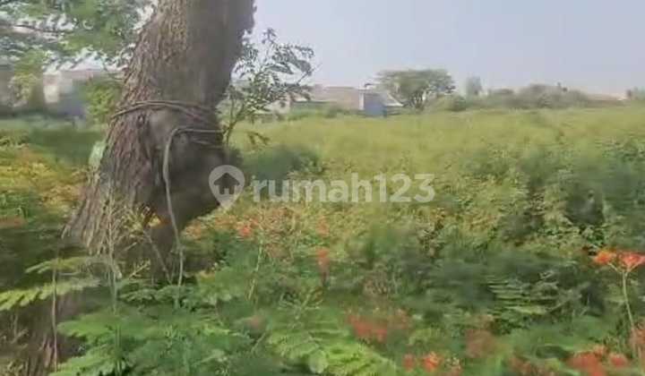 DIJUAL TANAH KAVLING - HARAPAN INDAH 2 (Harga : 1,4 Juta/m² NEGO) DIJUAL TANAH KAVLING - HARAPAN INDAH 2 (Harga : 1,4 Juta/m² NEGO)