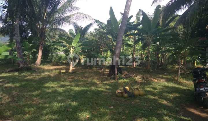For sale, fast land at Carita Beach, Banten. Strategic location roadside, facing the beach. For sale, fast land at Carita Beach, Banten. Strategic location roadside, facing the beach.