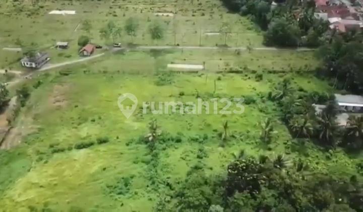 QUICK SALE Plot on Jl Raya Sampay, Banten (6km from Rangkas Toll Road) QUICK SALE Plot on Jl Raya Sampay, Banten (6km from Rangkas Toll Road)