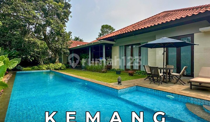 House For Sale Kemang Designed By Yori Antar Halaman Luas House For Sale Kemang Designed By Yori Antar Halaman Luas