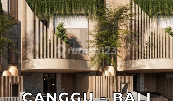 Brand New Luxury Villa In Canggu - Pasola Berawa For Sale Brand New Luxury Villa In Canggu - Pasola Berawa For Sale