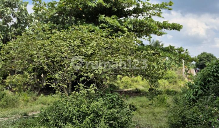 Empty Land in Front of Pesantren Bandar Kalipa, Percut Sei Tuan Empty Land in Front of Pesantren Bandar Kalipa, Percut Sei Tuan