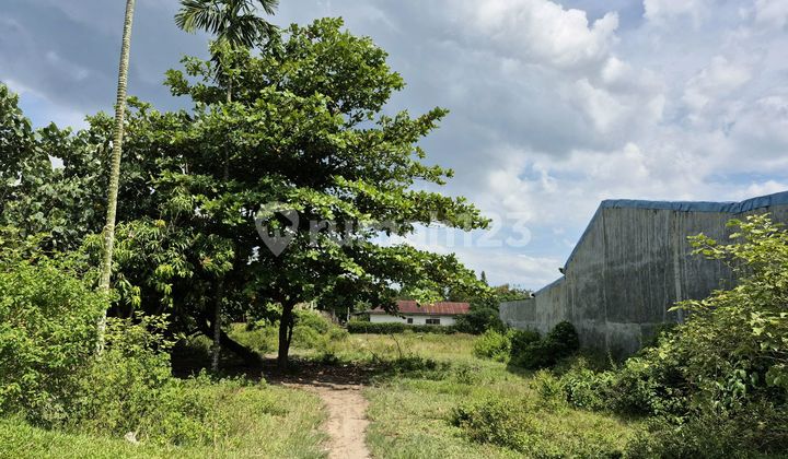 Empty Land in Front of Pesantren Bandar Kalipa, Percut Sei Tuan Empty Land in Front of Pesantren Bandar Kalipa, Percut Sei Tuan