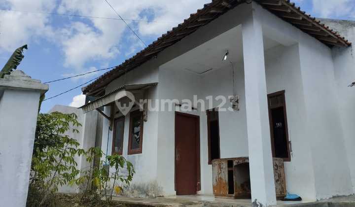 Jual Rumah Tinggal Plus Rumah Sarang Burung Walet Jual Rumah Tinggal Plus Rumah Sarang Burung Walet