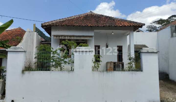 For Sale: Residential House Plus Swiftlet Bird Nest House 2