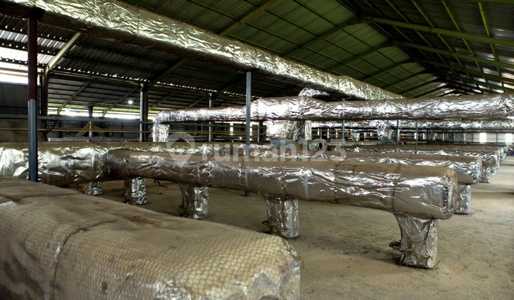 Selling Ex Tile Factory Warehouse Selling Ex Tile Factory Warehouse